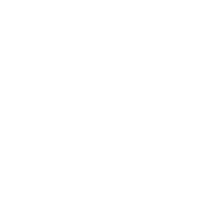 mg logo