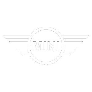 mini logo